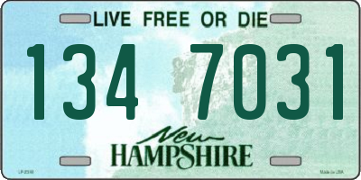 NH license plate 1347031