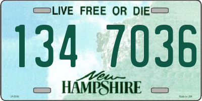 NH license plate 1347036