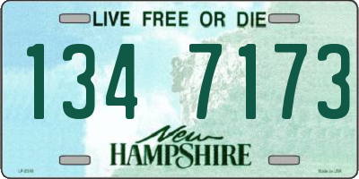 NH license plate 1347173
