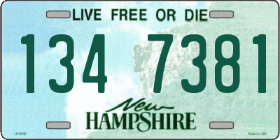 NH license plate 1347381