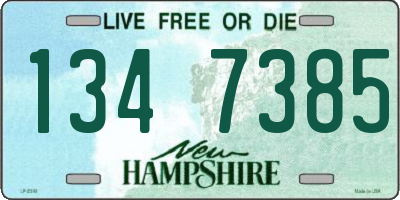 NH license plate 1347385