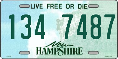 NH license plate 1347487