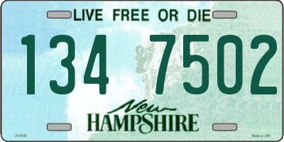 NH license plate 1347502