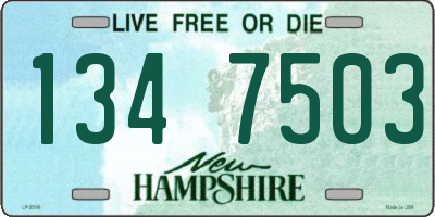 NH license plate 1347503