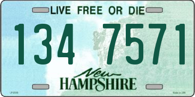 NH license plate 1347571