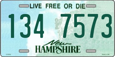 NH license plate 1347573