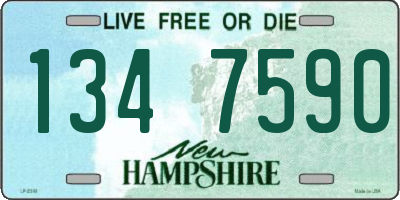 NH license plate 1347590