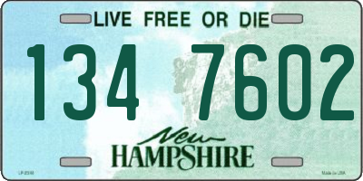 NH license plate 1347602