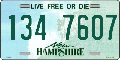 NH license plate 1347607