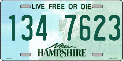 NH license plate 1347623