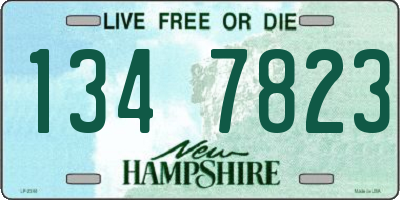 NH license plate 1347823