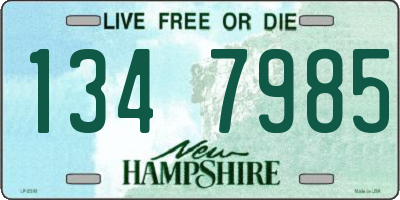 NH license plate 1347985