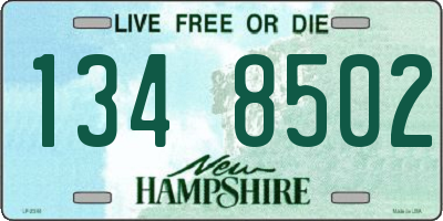NH license plate 1348502