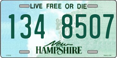 NH license plate 1348507