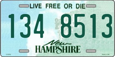 NH license plate 1348513