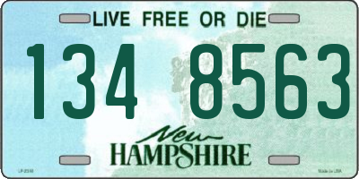 NH license plate 1348563