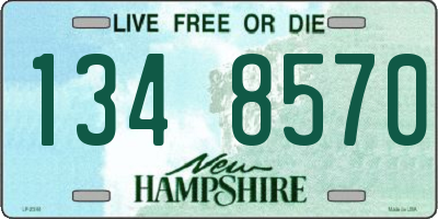 NH license plate 1348570