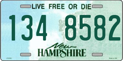 NH license plate 1348582