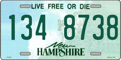 NH license plate 1348738