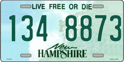 NH license plate 1348873