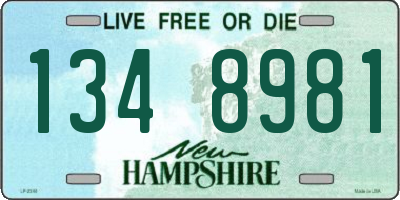 NH license plate 1348981