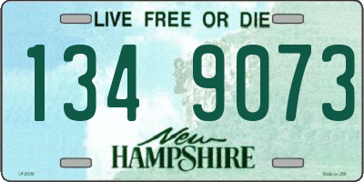 NH license plate 1349073