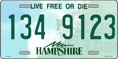 NH license plate 1349123