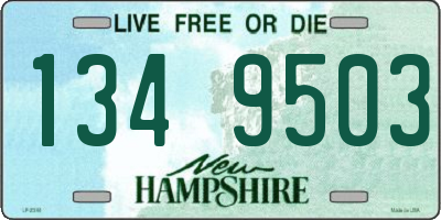 NH license plate 1349503