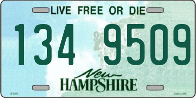 NH license plate 1349509