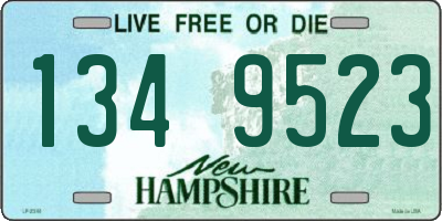 NH license plate 1349523