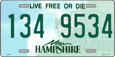 NH license plate 1349534