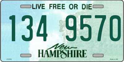 NH license plate 1349570