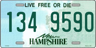 NH license plate 1349590