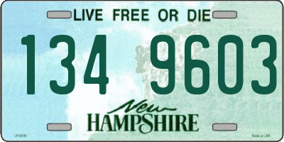 NH license plate 1349603