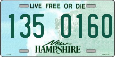 NH license plate 1350160
