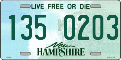NH license plate 1350203