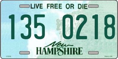 NH license plate 1350218