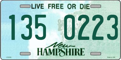 NH license plate 1350223