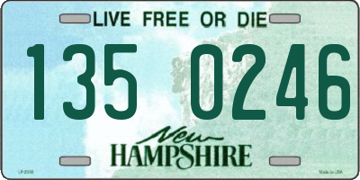 NH license plate 1350246