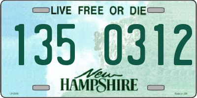 NH license plate 1350312