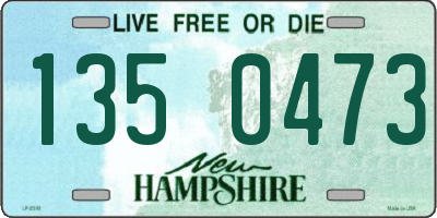 NH license plate 1350473