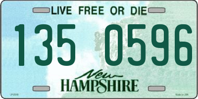NH license plate 1350596