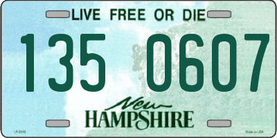 NH license plate 1350607