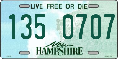NH license plate 1350707
