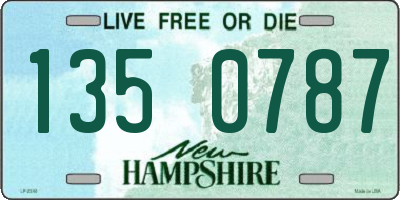 NH license plate 1350787