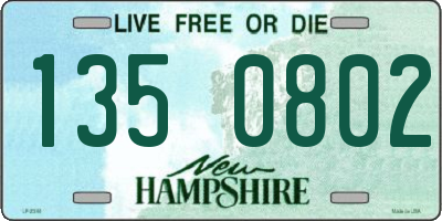 NH license plate 1350802