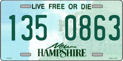 NH license plate 1350863