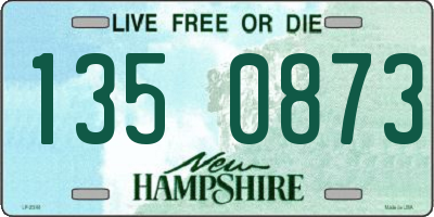 NH license plate 1350873