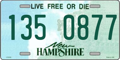NH license plate 1350877