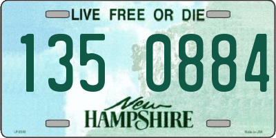 NH license plate 1350884